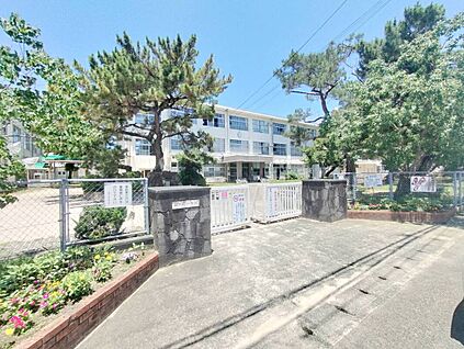 西戸崎小学校 673m