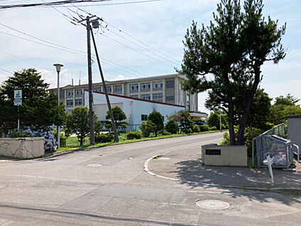 函館市立桔梗中学校 1800ｍ(徒歩23分)
