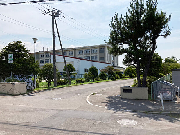 函館市立桔梗中学校（約1,800m）