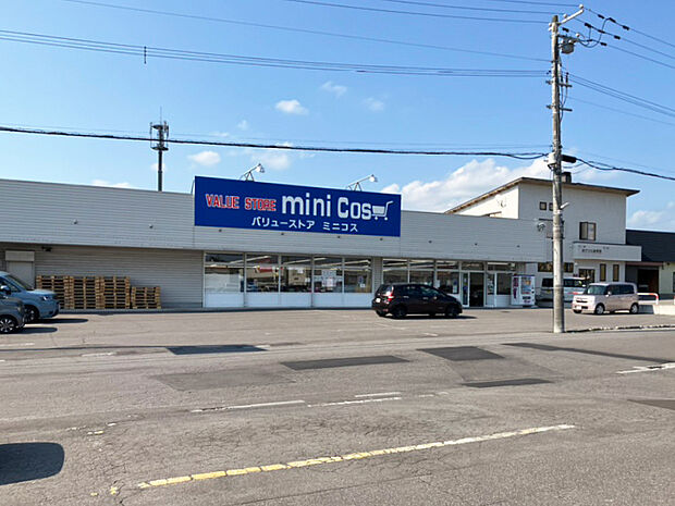 バリューストアミニコス桔梗店（約1,100m）