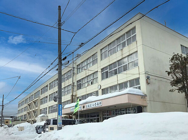 東光小学校（約500m）