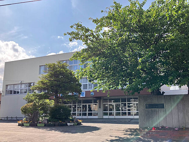 しらかば台小学校（約160m）