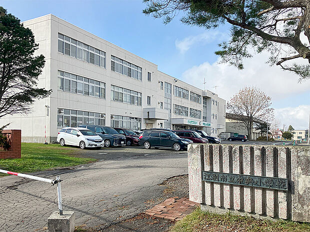 中央小学校(約600m)