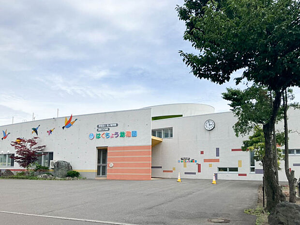 はくちょう幼稚園（約950m）