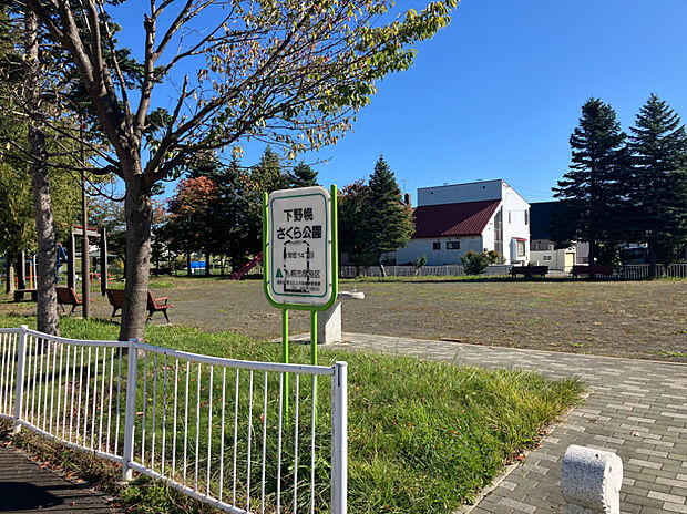 下野幌さくら公園（約37m）