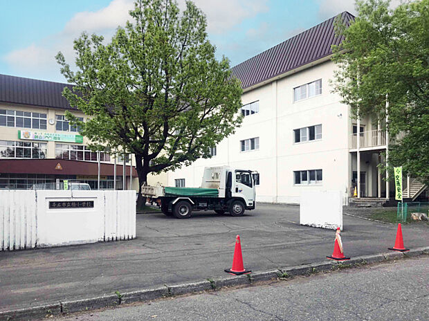 柏小学校(約400m)