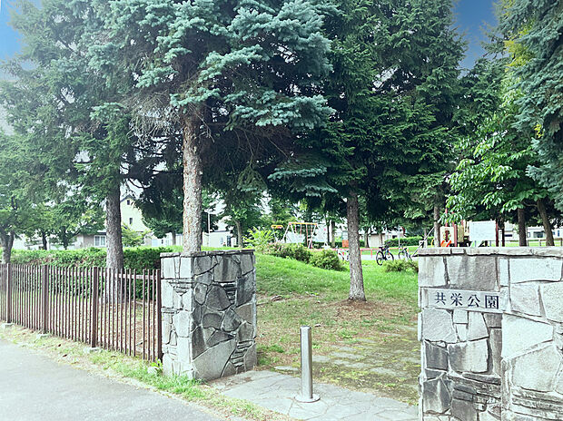 共栄公園（約600m）