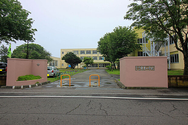 苫小牧市立北星小学校（約750m）