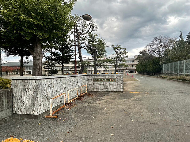 水沢小学校(約1,000m)
