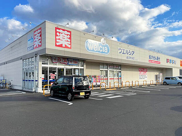 ウエルシア岩沼中央店(約260m)