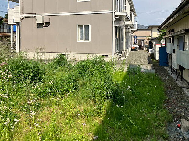 【【現地写真】】陽当り良好の立地です。暖かい陽光が感じられる明るいお住まいが建てられそうですね。
(2025年6月撮影）