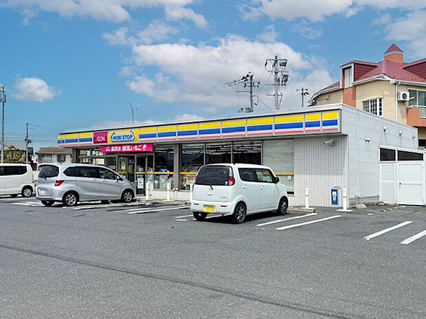 ミニストップ石巻新下沼店（約300m）