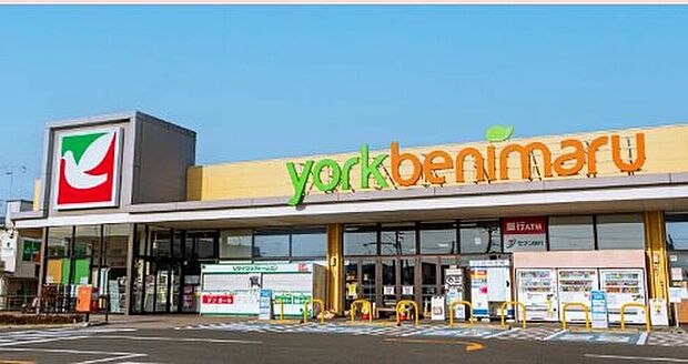 ヨークベニマル笹谷店(約800m)