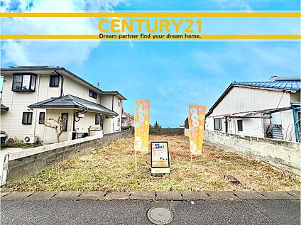 ■現地写真■