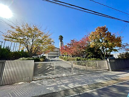 福岡市立野間中学校 1993ｍ
