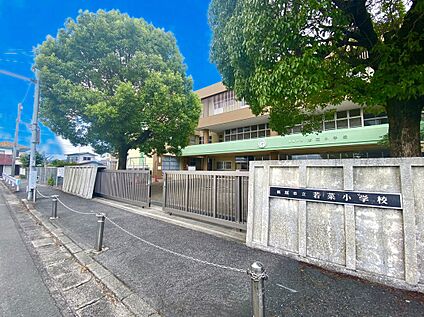 飯塚市立若菜小学校 1000m