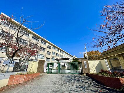 福岡市立鶴田小学校 852ｍ