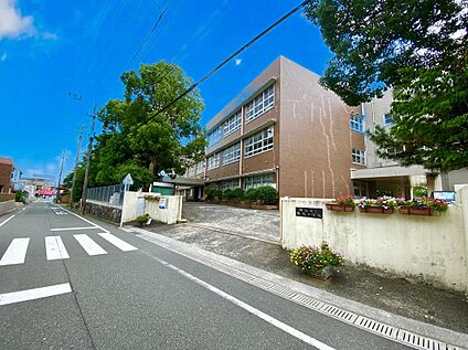 飯塚市立飯塚小学校 500m
