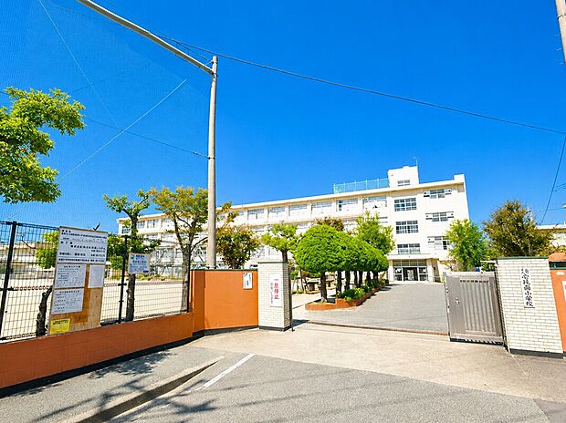 福岡市立壱岐南小学校(約700m)