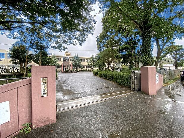 古賀市立小野小学校（約900m）