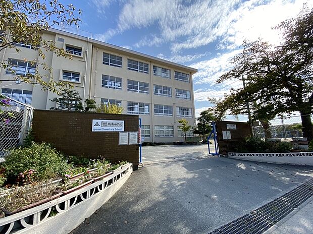 福岡市立城南小学校（約563m）