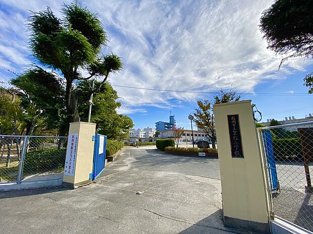 福岡市立筥松小学校（約300m）