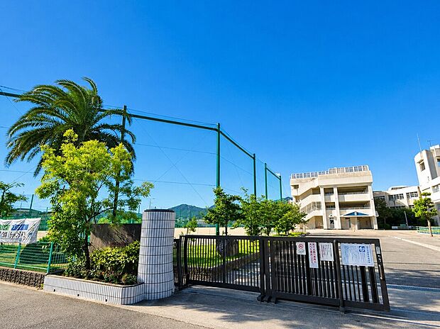 福岡市立玄洋小学校（約600m）