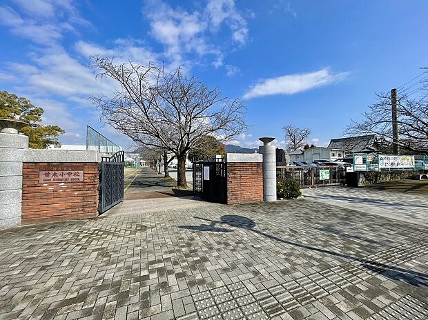 朝倉市立甘木小学校 （約255m）