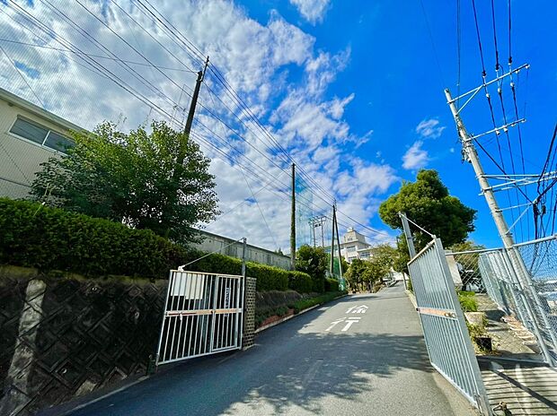 福岡市立花畑中 学校 (約1,616m)