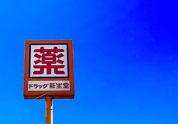 ドラッグ新生堂東中間店（約390m）