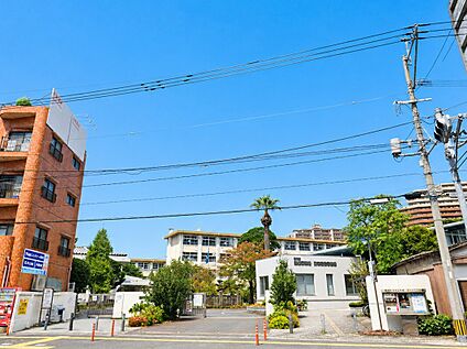 福岡市立姪浜小学校 1200m