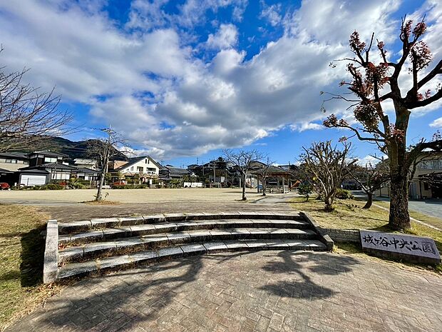 城ケ谷中 央公園 (約317m)