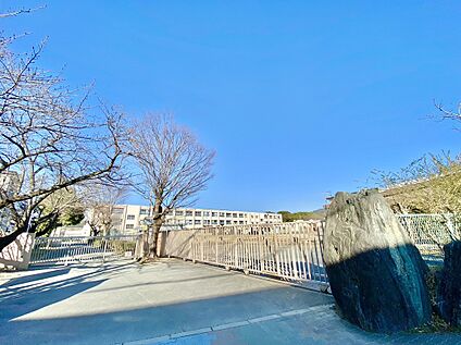 久留米市立東国分小学校  1182m