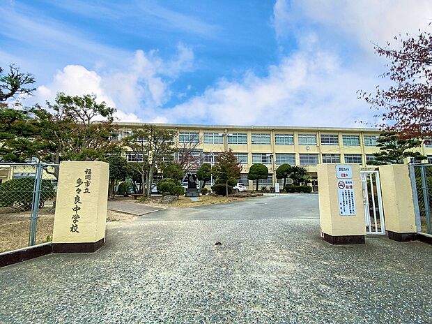 福岡市立多々良中学校(約700m)
