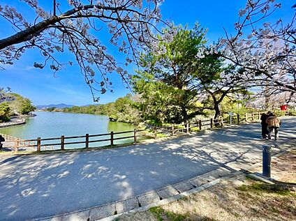 白水大池公園  907m