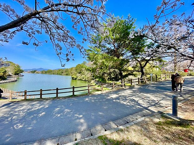 白水大池公園 （約907m）