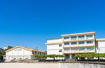 北九州市立若園小学校 100ｍ