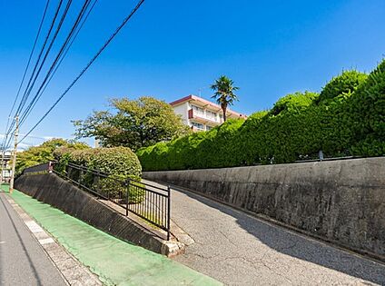 北九州市立企救中学校  1000ｍ