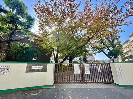 福岡市立弥永小学校 998ｍ