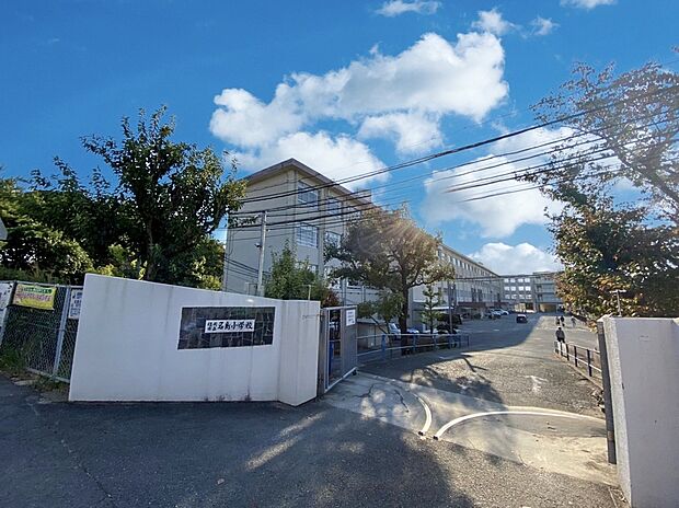 福岡市立名島小学校(約520m)