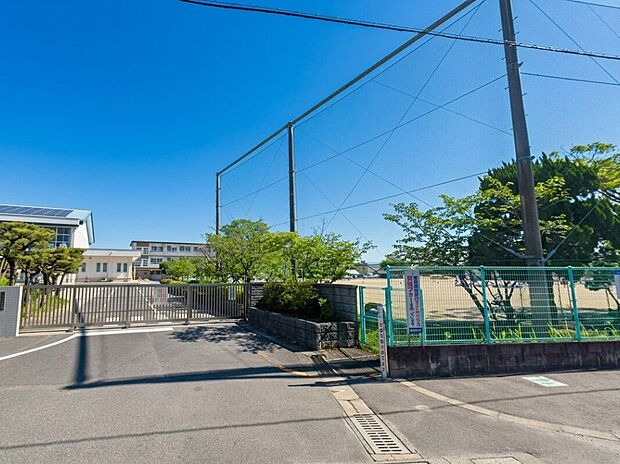 佐賀市立高木瀬小学校(約818m)