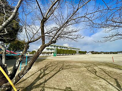 鳥栖市立若葉小学校 410ｍ