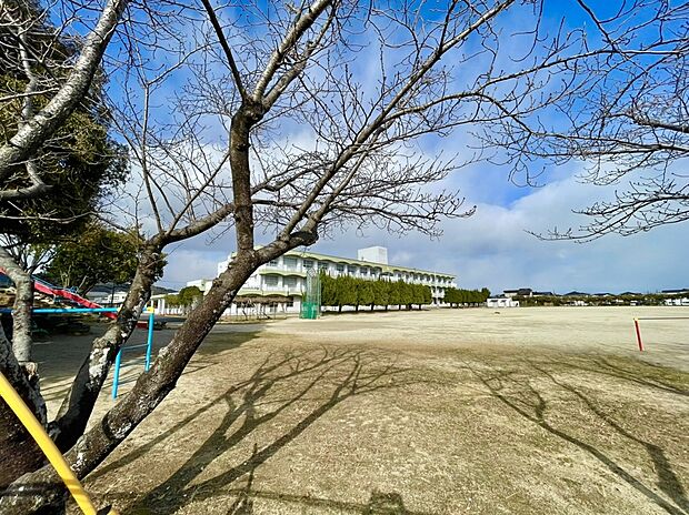 鳥栖市立若葉小学校(約410m)