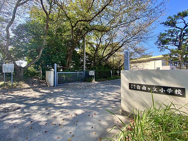 宗像市立自由ケ丘小学校（約1,000m）