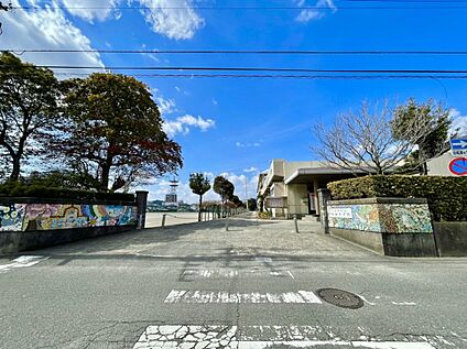 鳥栖市立鳥栖中学校 1561ｍ