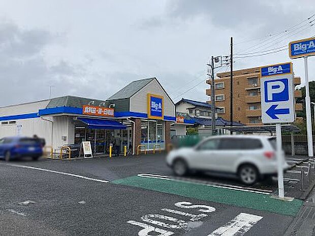 ビッグ・エー 国分寺並木町店（約500m）
