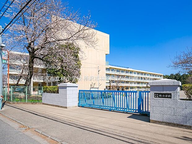 所沢市立林小学校(約1,150m)