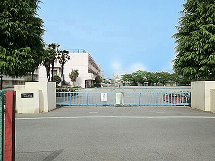 所沢市立南小学校 900m(12分)