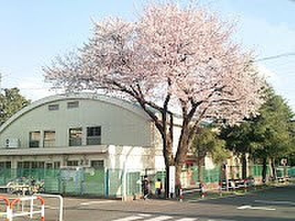 小平市立小平第十三小学校(約700m)