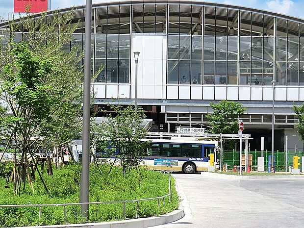 中央線武蔵小金井駅（約800m・徒歩10分）